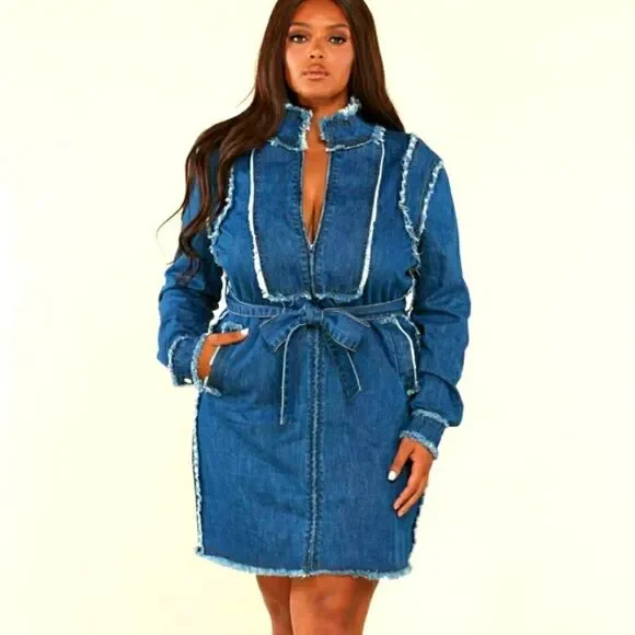 L'Atiste Plus Size Dress Frayed Trim Denim - Picture 3 of 11